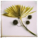 Reflex82 Mathes Rainer 05