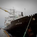 Reflex Meckesheim Sigmund Harry 04