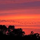 FFFK Mannheim 03 Giersch Barbara