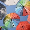 FFFK Mannheim 20 Treiber-Kloetzer Christa