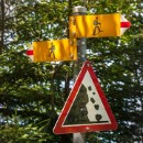 FG Sandhausen 35 Lindenthal Werner 01