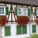 FC Sinsheim 04 Weis Johann.jpg