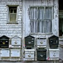 FC Sinsheim 05 Rubel-Mueller Renate.jpg