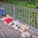 FC Sinsheim 27 Rubel-Mueller Renate.jpg