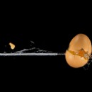 Fotogruppe Edingen Neckerhausen 02