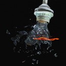 Fotogruppe Edingen Neckerhausen 05