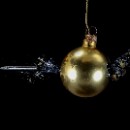 Fotogruppe Edingen Neckerhausen 09