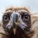 LFK-02 Lea Lisske Was guckst du