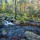 LFK-10 Thomas Schrumpf Herbst an der Hoegne