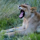 Gabriele Markheiser 01