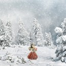 017 Peter Seitz 10 2