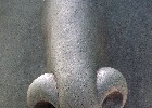 Bruno Erni 093