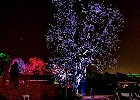 019 Winterlichter 2024