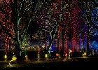 025 Winterlichter 2024