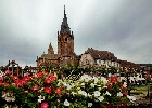Wissembourg 031