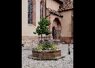 Wissembourg 188