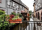 Wissembourg 207