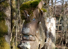 Bild 007