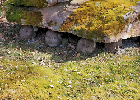 Bild 015