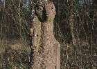 Bild 019