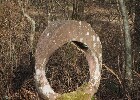 Bild 028