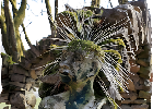 Bild 036