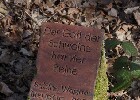 Bild 046