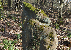 Bild 053