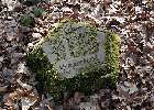 Bild 060