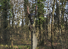 Bild 065