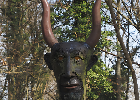 Bild 066