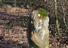 Bild 067