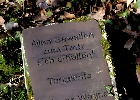 Bild 068