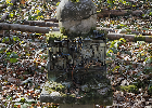 Bild 078