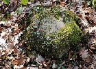 Bild 079