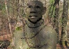 Bild 081