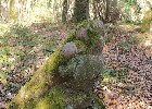 Bild 085