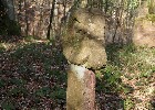 Bild 086