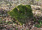 Bild 088