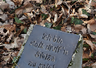 Bild 098