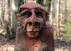 Bild 099