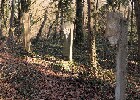 Bild 110