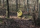Bild 117