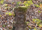 Bild 142