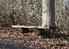 Bild 152
