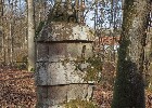 Bild 153