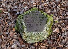 Bild 194