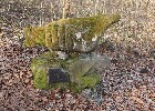 Bild 195
