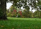 CWA 1742 Fulda Schloss-Fasanerie rotes-Laub-im-Park