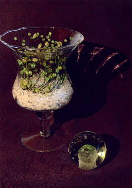 Geschwill_Karl_02222